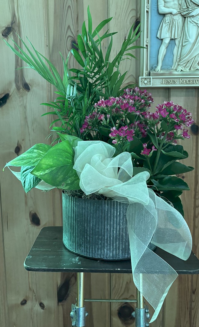 Flowers from The Bank West Insurance Team