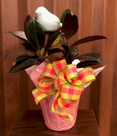Flowers from The Freemans
