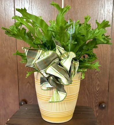 Flowers from Mike and Sharon Anderson