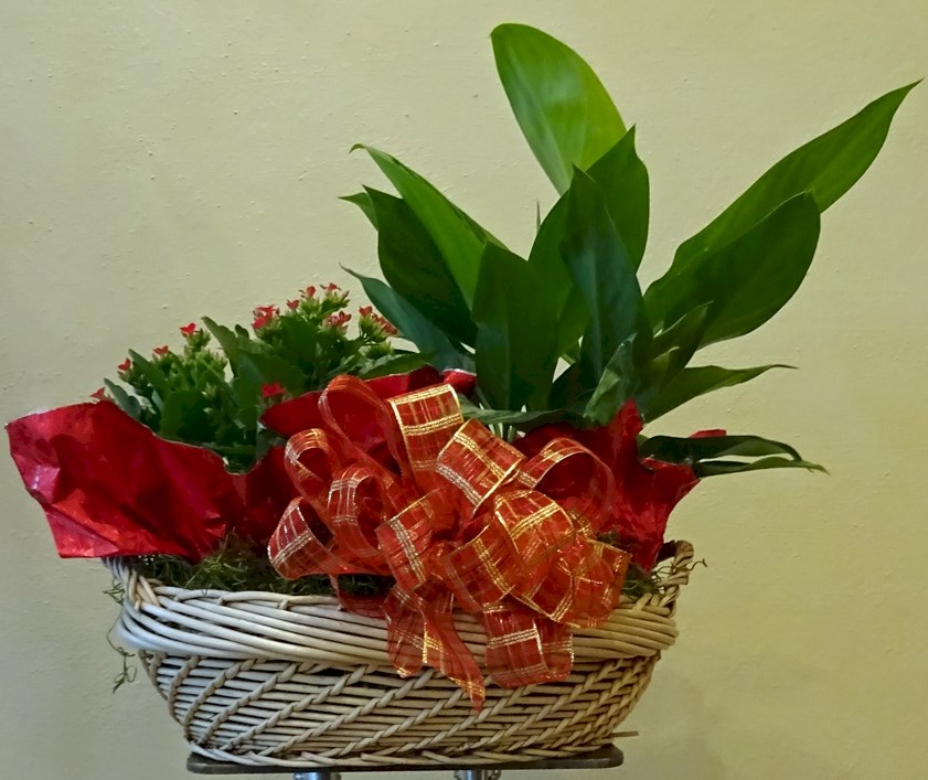 Flowers from Leroy and Debbie Eckhart and Larry Harrison