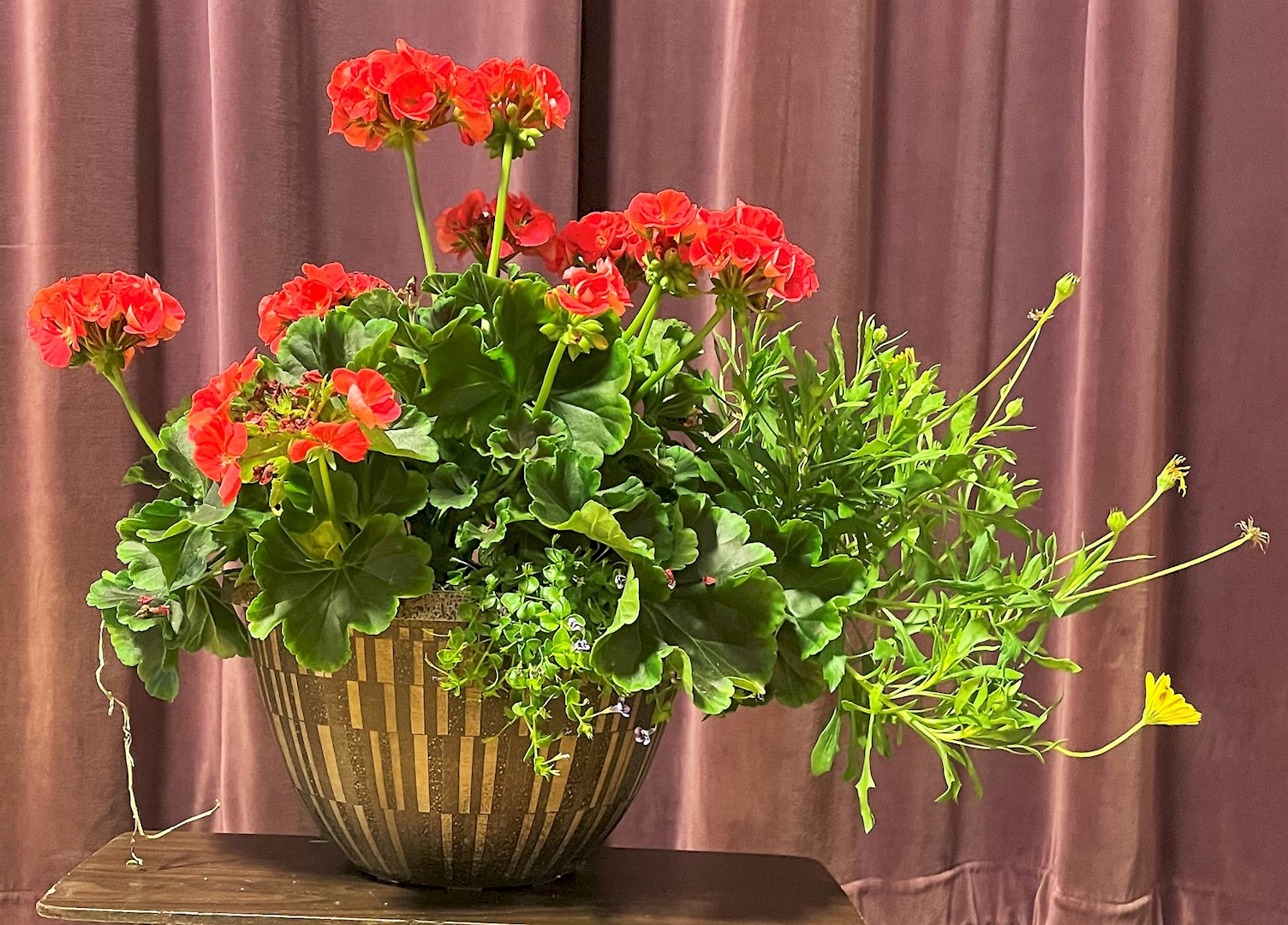 Flowers from The Sanftner Family