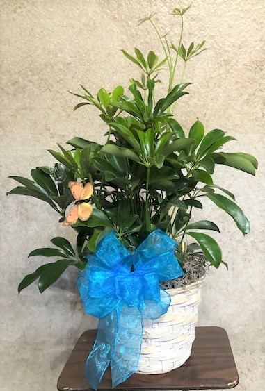Flowers from Carolyn, Lisa, Laura, and Rick