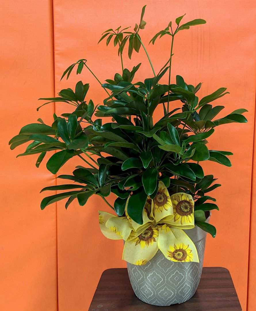 Flowers from The Myers Ranch - Bill and Debbie Myers