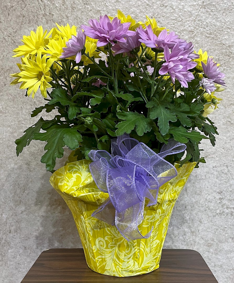 Flowers from Class of 2007