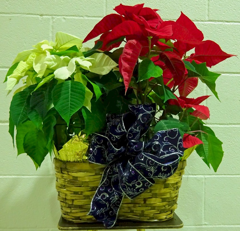 Flowers from Penske Truck Leasing
