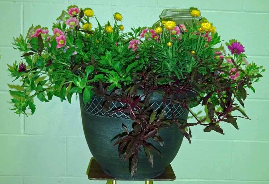Flowers from Midland School Staff