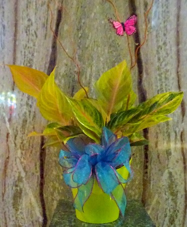 Flowers from Theresa Petska
Raymond James Financial Advisor
