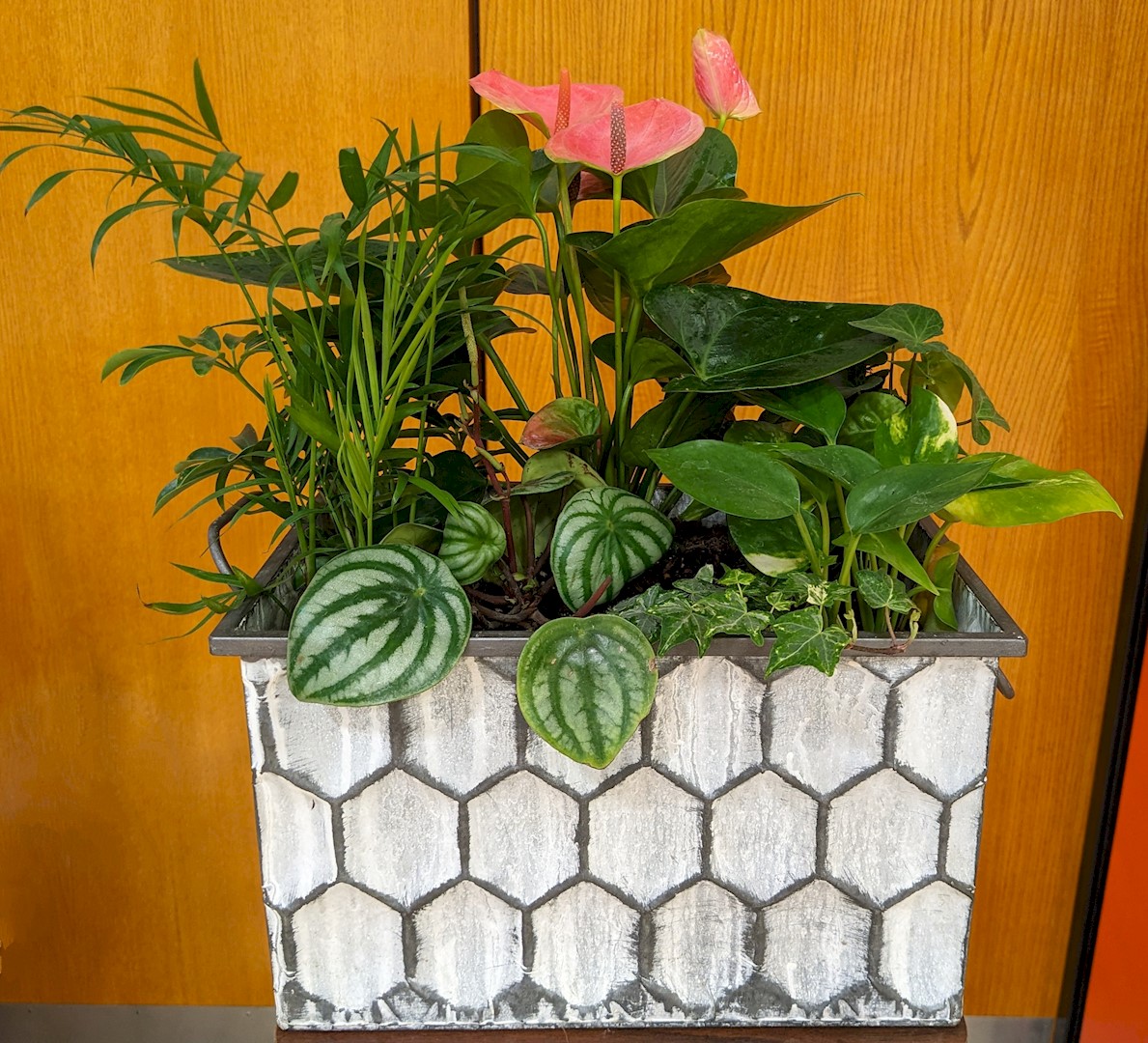 Flowers from Mosiah and Christine Barlow from Cottonwood