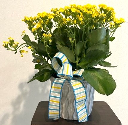 Flowers from Maurice and Sandy Hathorn