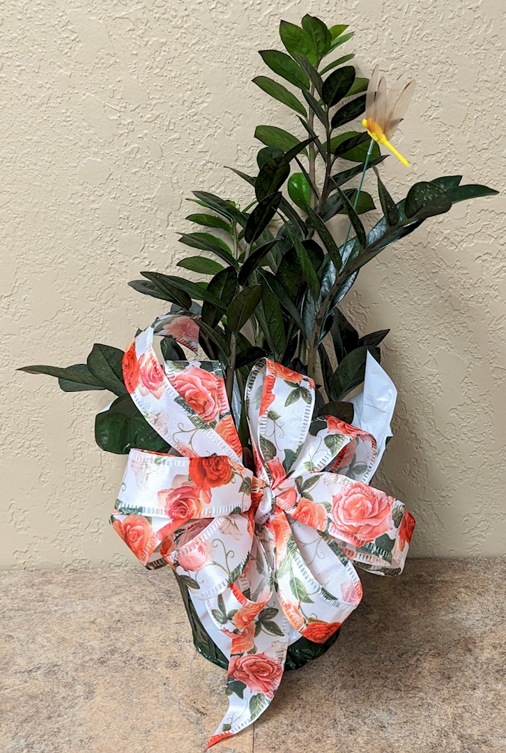 Flowers from Joe and Betty Barrie Families