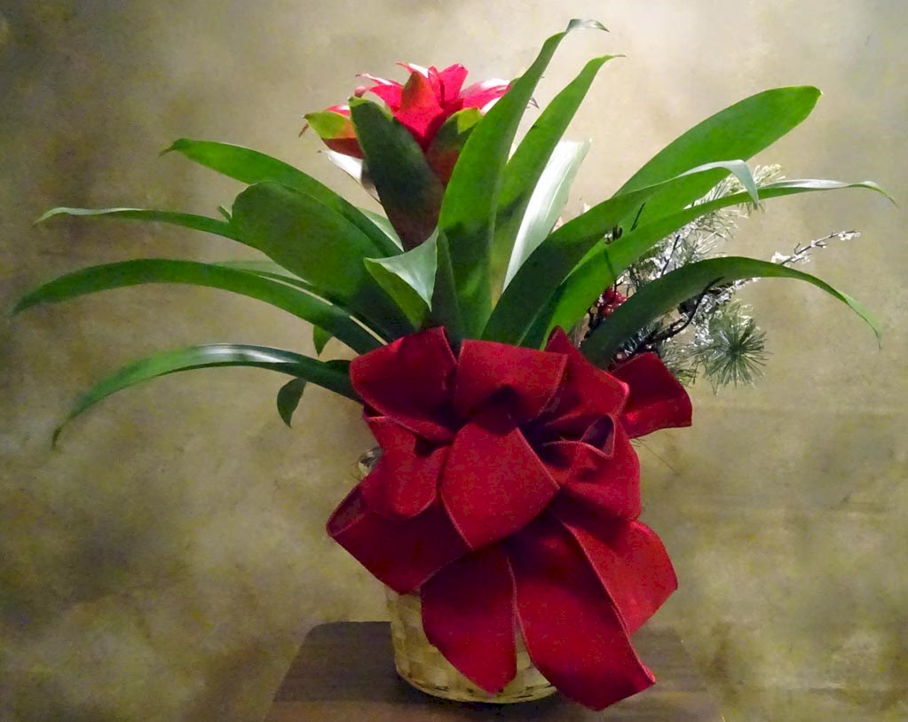 Flowers from Julian, Coreen, Nick, Adam, Jodi, and Families