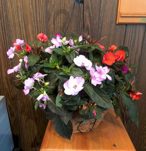 Flowers from The Families of Bud & Helen Schofield
Mary K and Family
Ellen, Vi, Vera
Tom & Janet and Family
Bob & Harla and Family and Dan