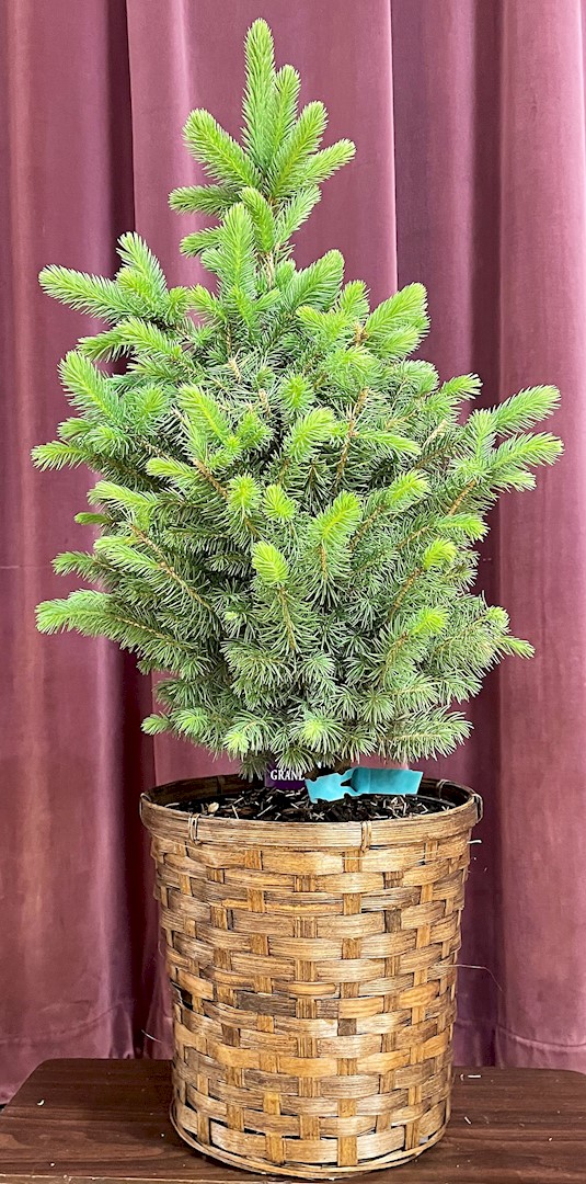 Flowers from Jim and Debbie Antonsen and Families