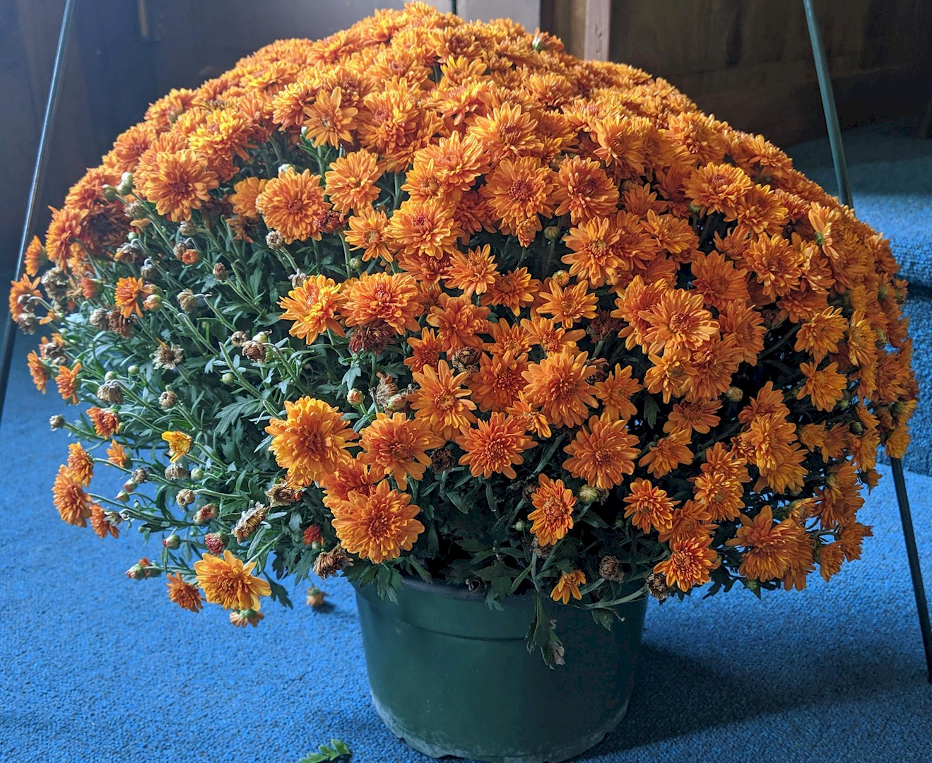 Flowers from Family
