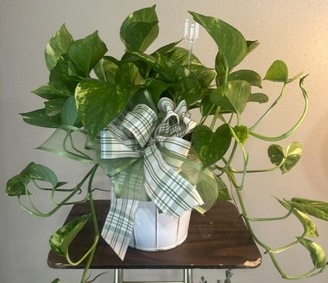 Flowers from Marsha Simmons