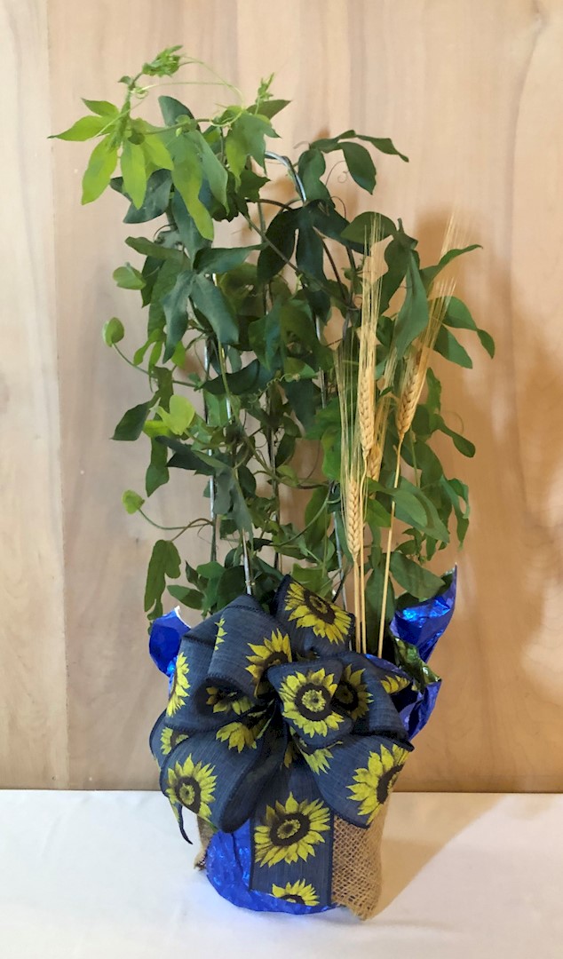 Flowers from Federal Chamber, Staff, and Clerks Office