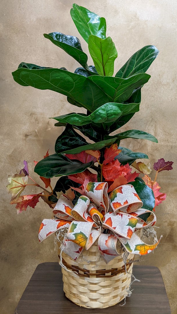 Flowers from Lois and Debbie C. at One Fine Day