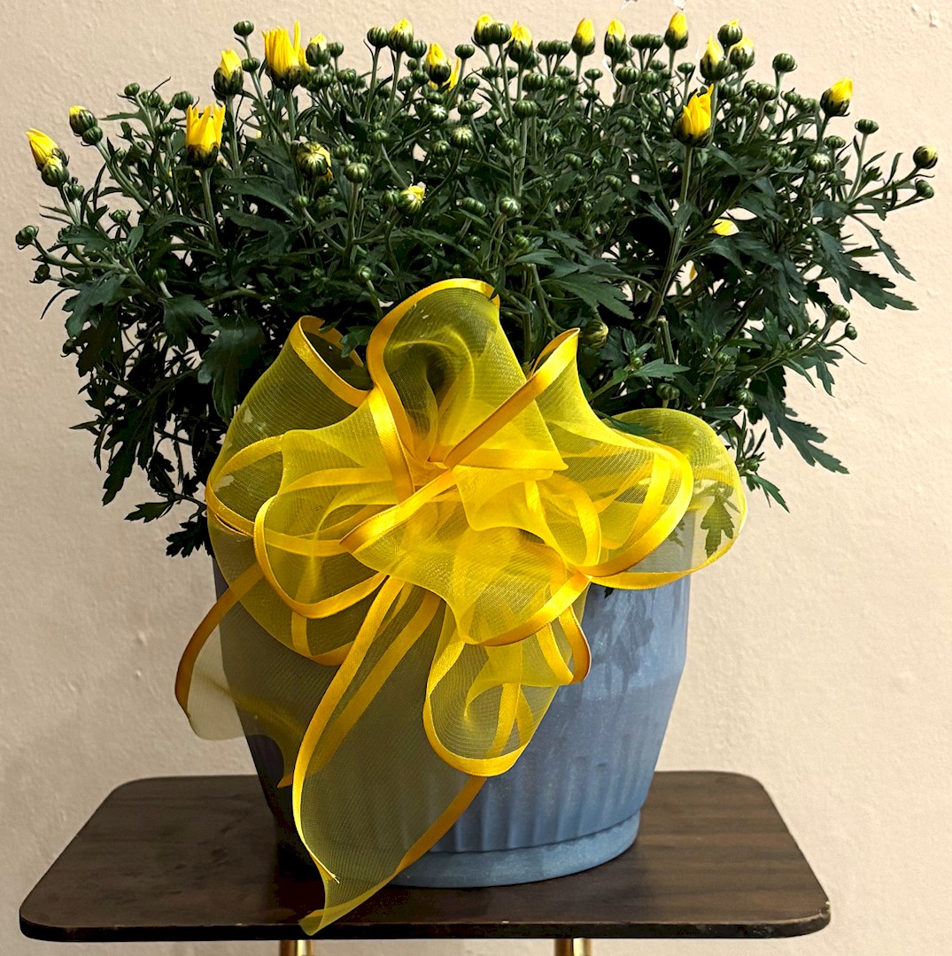 Flowers from Carol Anne Keyser Hodge