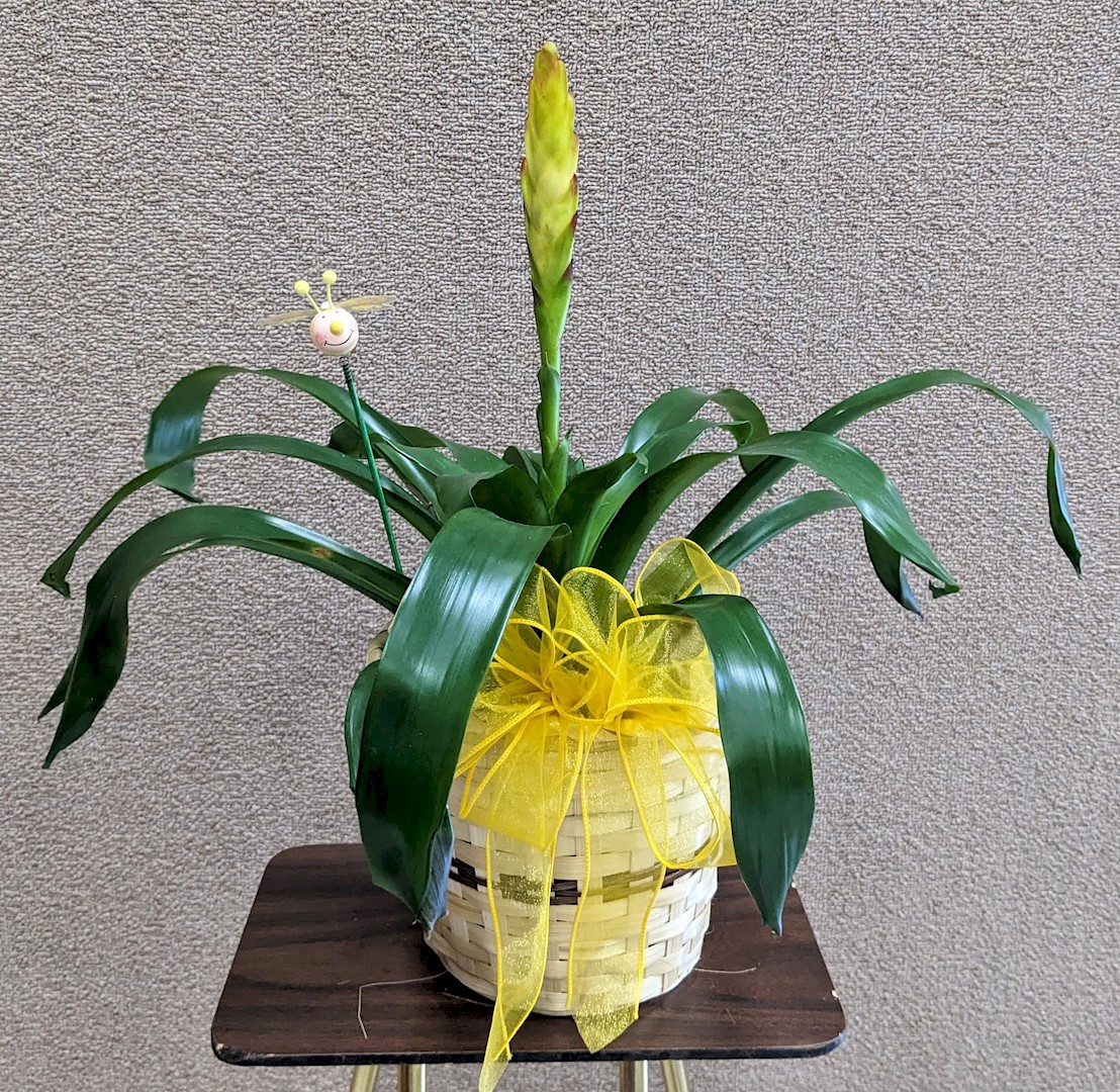Flowers from Sawvell Farms