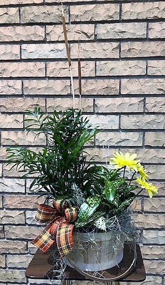 Flowers from Your Habitat Family