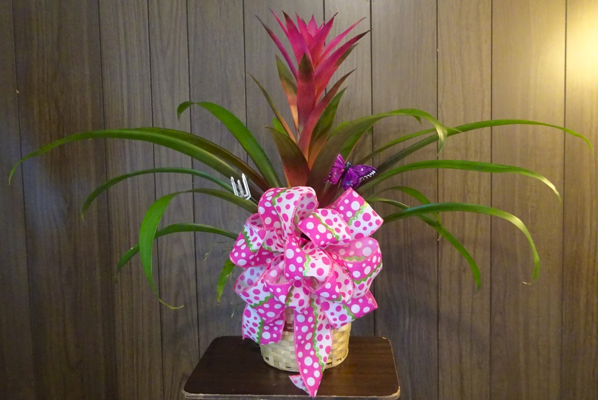 Flowers from Marty and Rhonda Williams Family