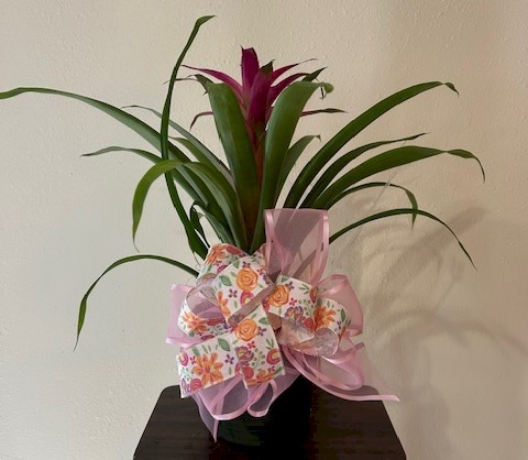 Flowers from Dakota Country Pharmacy