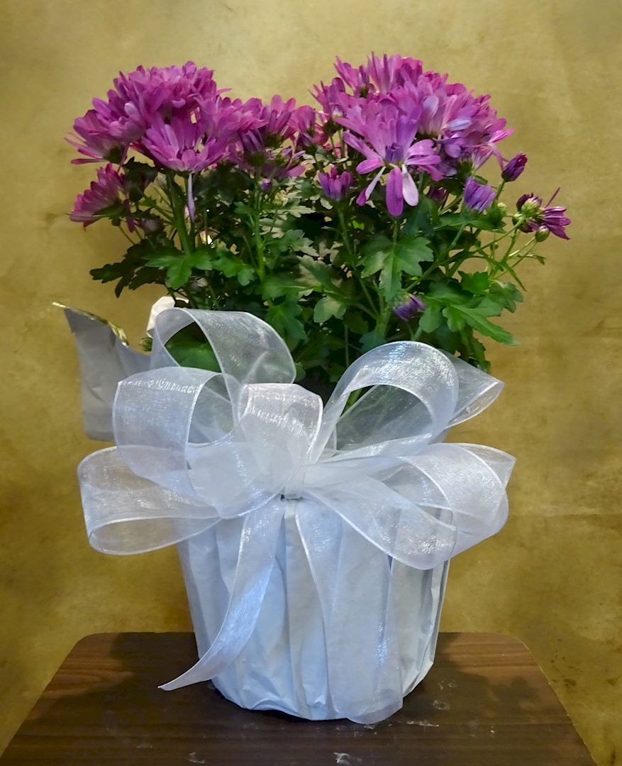 Flowers from Kadoka Nursing Home Staff, Residents, and Board of Directors