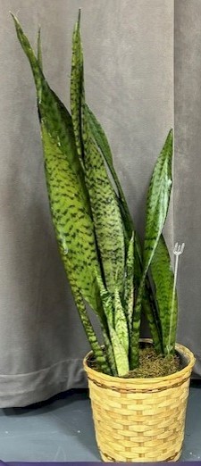 Flowers from The Girls