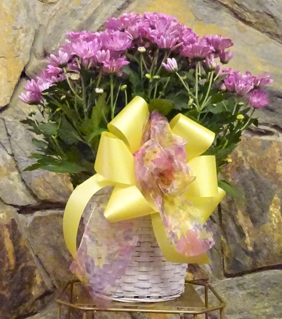 Flowers from Dakota Country Pharmacy