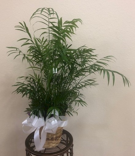 Flowers from Security 1st Bank Directors and Employees