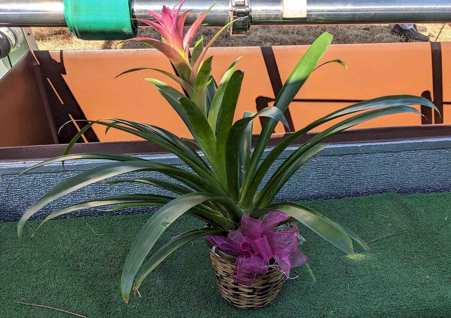 Flowers from Dakota Country Pharmacy