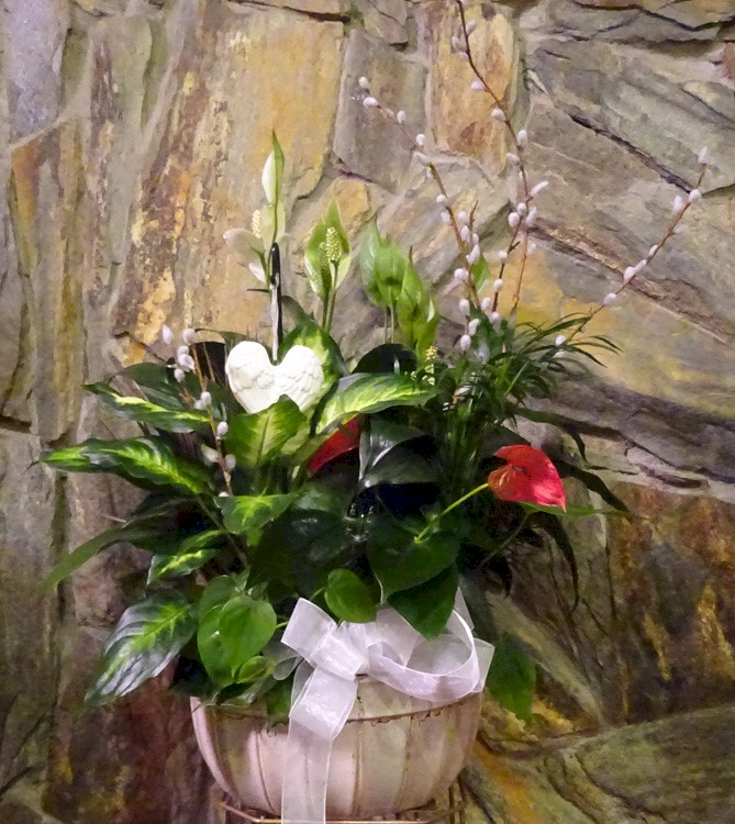 Flowers from Your Sunshine Family