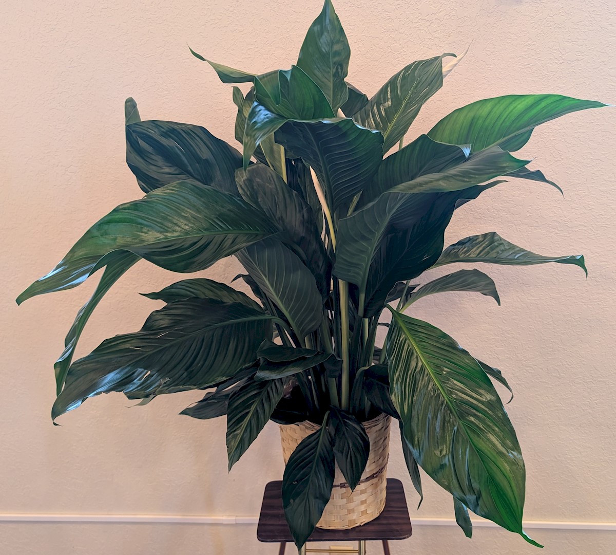 Flowers from Brett and Tara Jordan and Families, Joan Jordan, Margaret and Doug Petersen, Bill and Deb Gropper, and all Families