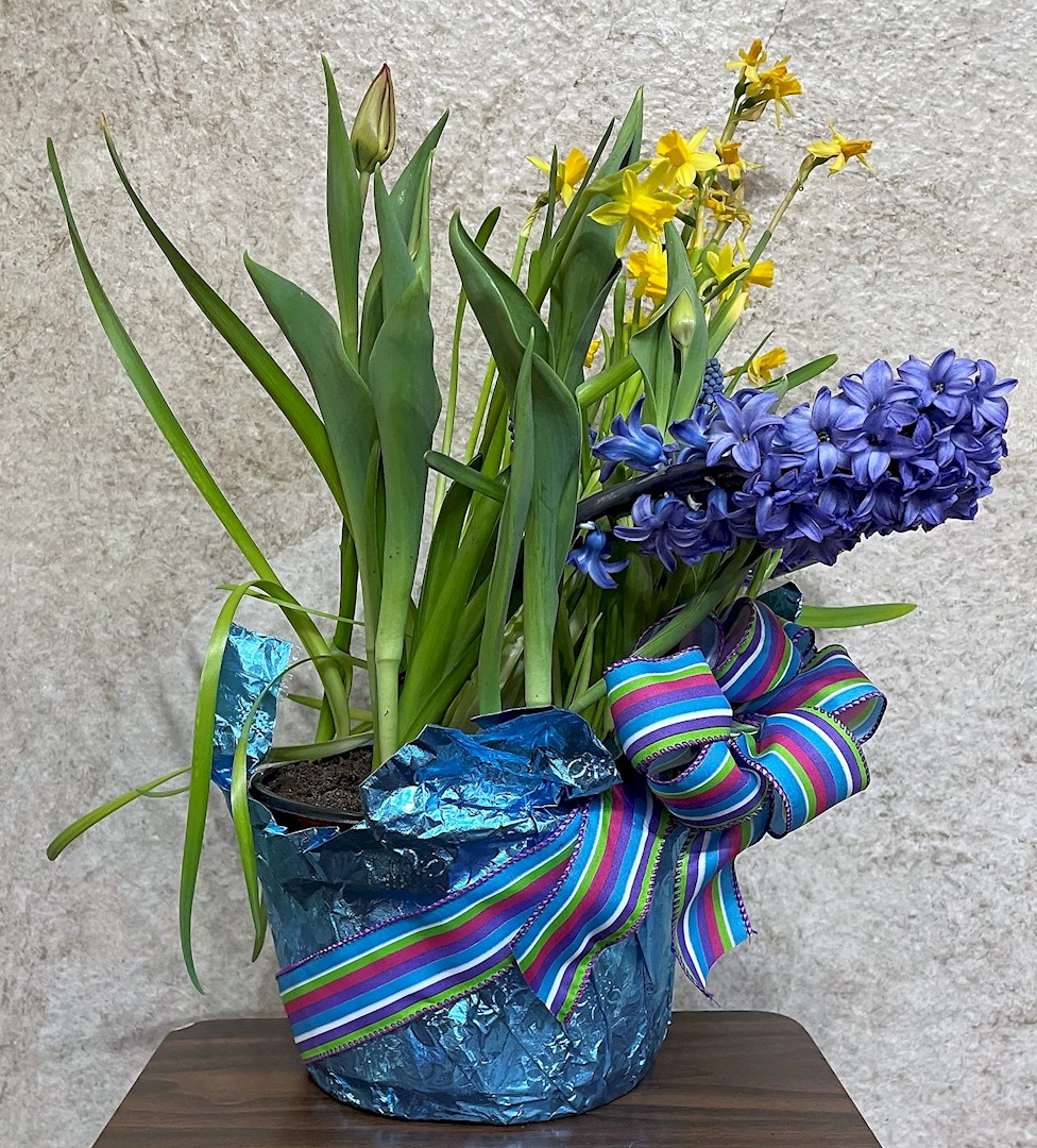 Flowers from Bill Lyle