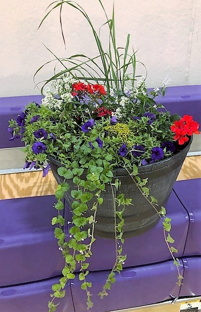 Flowers from Judy; Stevie and Family; Joanie and Family; and Neal and Family