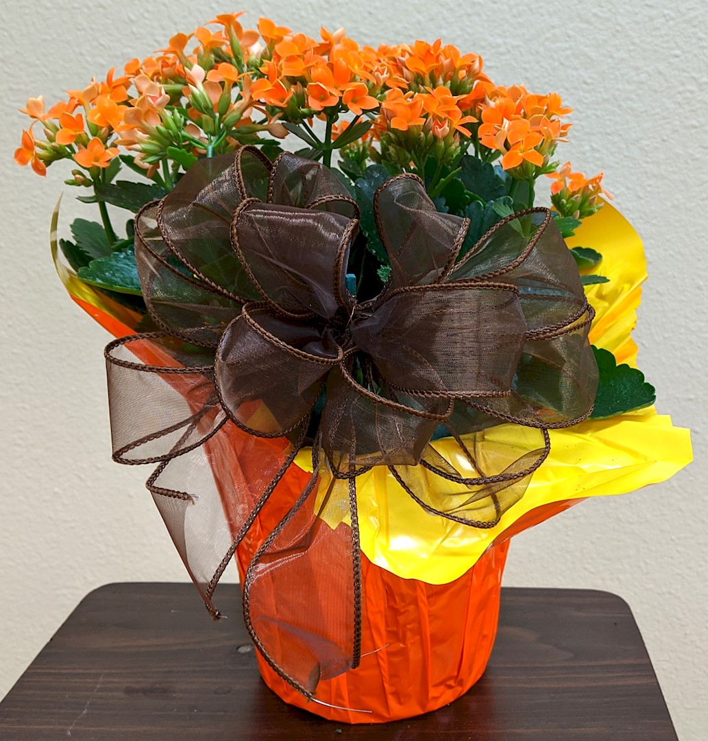 Flowers from Dakota Country Pharmacy
