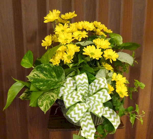 Flowers from Harlan & Linda
Juston & Rachael and Family