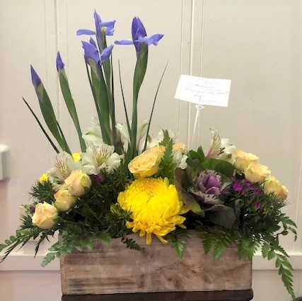 Flowers from Shannon
