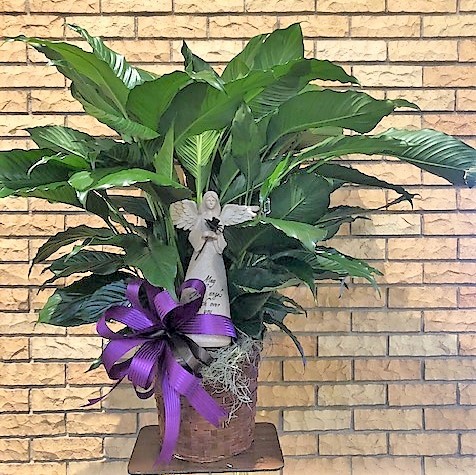 Flowers from Mike and Darci Wolff