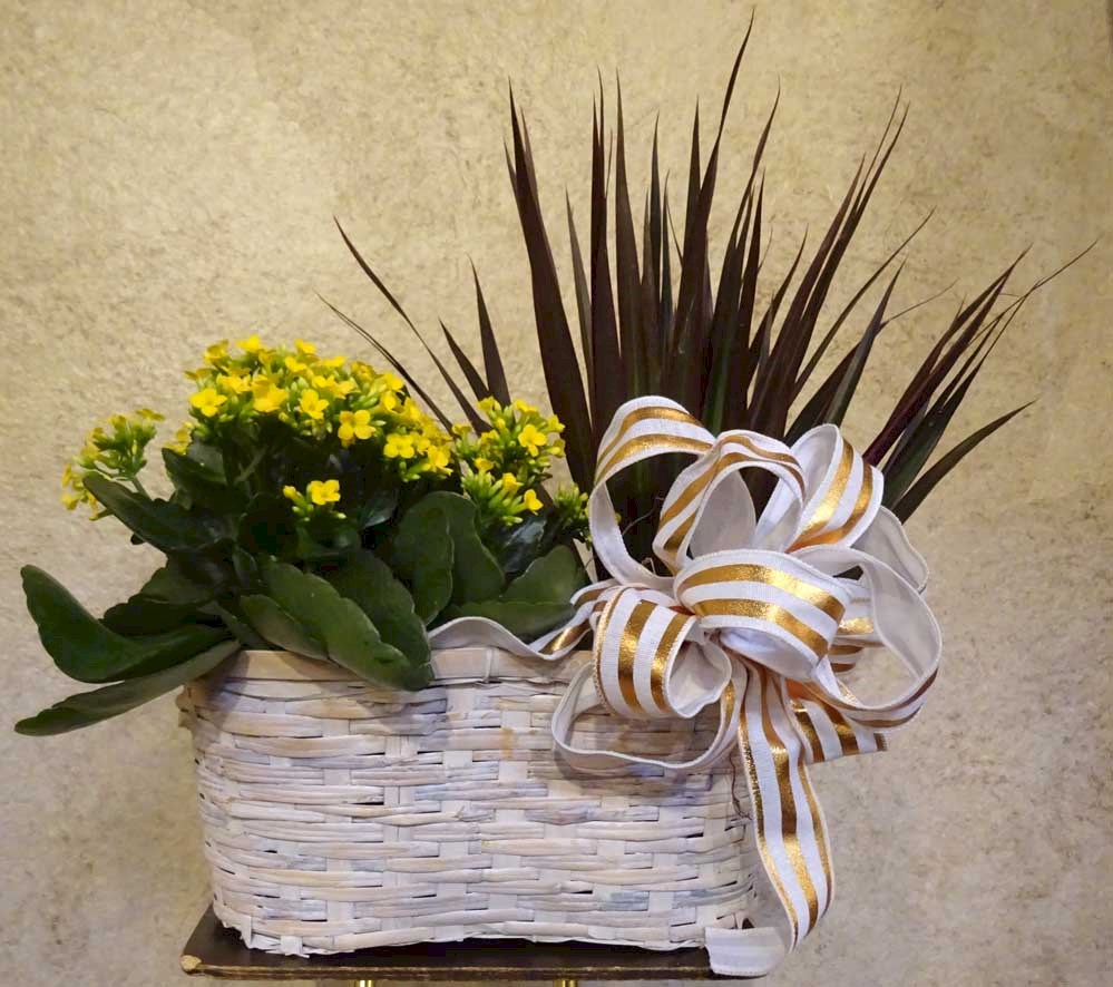 Flowers from Stanley County Coaches Association