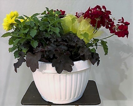 Flowers from Dakota Country Pharmacy