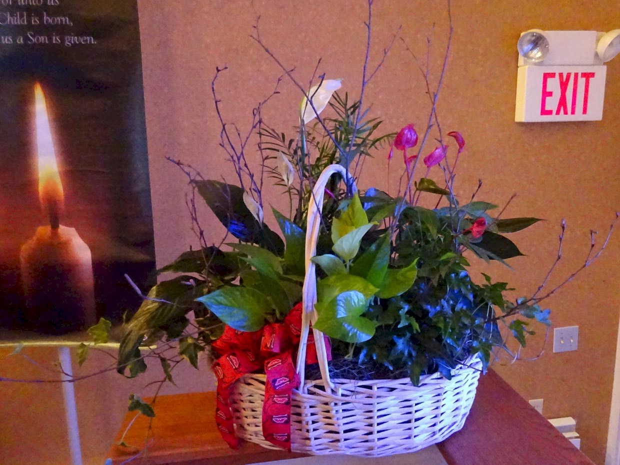 Flowers from Ken, Kathy, Michael, & Treyton Campbell, Lori Hodgin, and Greg, Linda, Natalie, & Ava