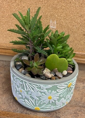 Flowers from Doreen Miller