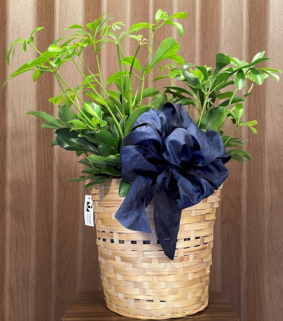 Flowers from Judy Yocum