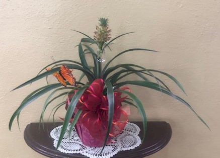 Flowers from Dakota Country Pharmacy