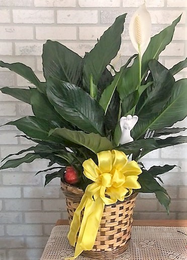 Flowers from Michael and Kimberly and Kaela, Collin, Devan, Ethan, and Sam