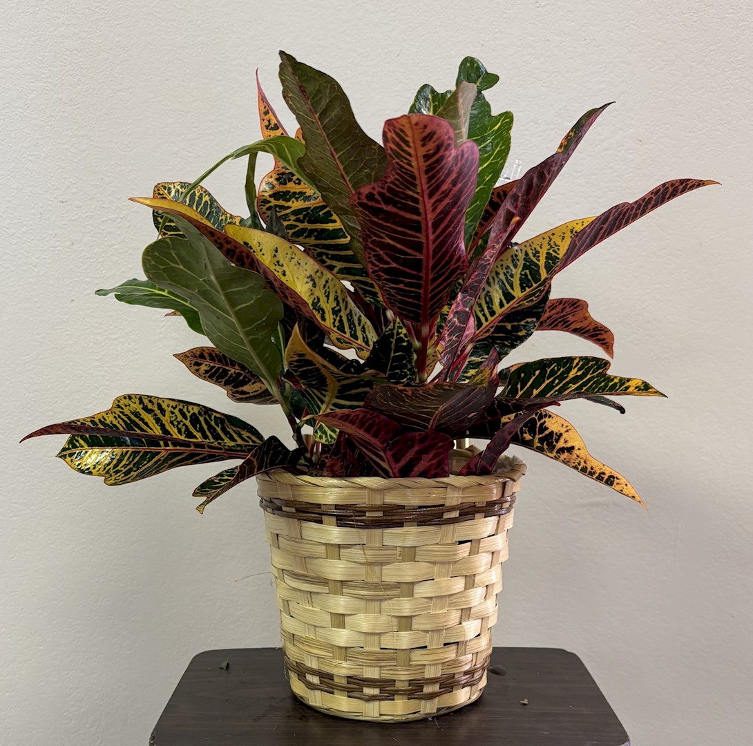 Flowers from Smith Hay Grinding: Brock, Brittany, and Sawyer