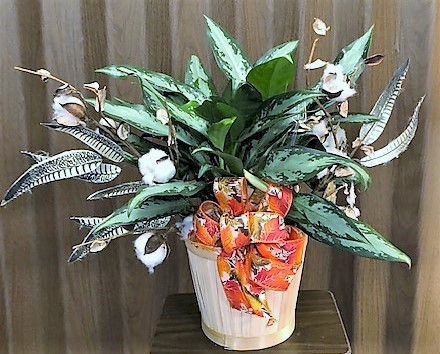 Flowers from Karen Soderquist