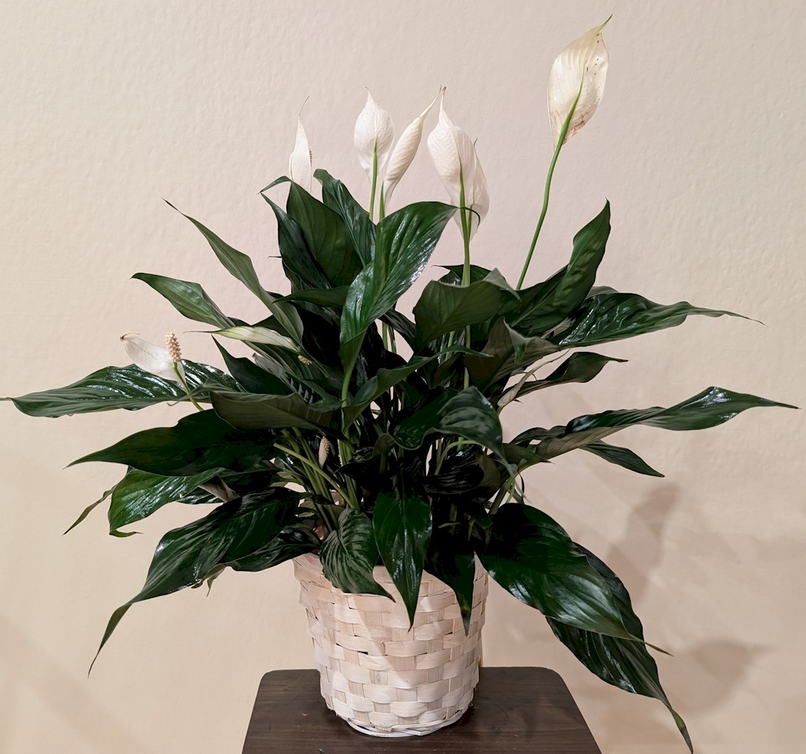 Flowers from Daktronics