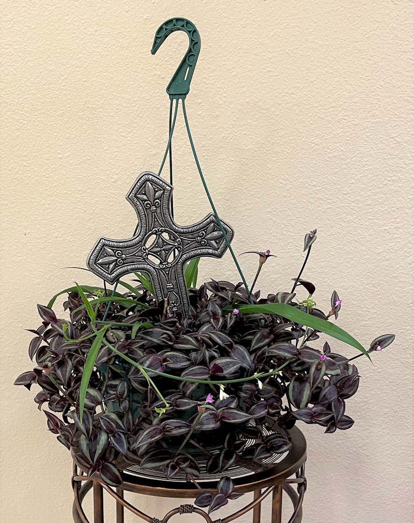 Flowers from Martin Social Services Office